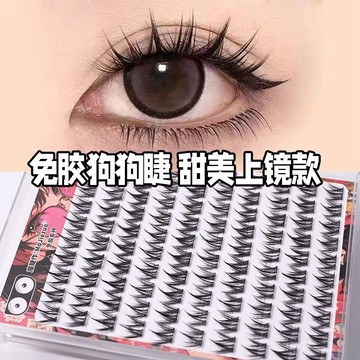 100簇大容量免膠小奶狗~犬係假睫毛懶人濃密自然漫畵仿真分段新款 71A9