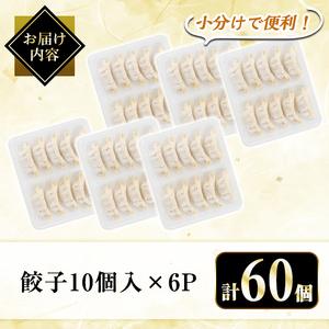 ふるさと納税 A3-008 国産！鹿児島県産黒豚餃子60個(10個入×6P) 鹿児島県霧島市