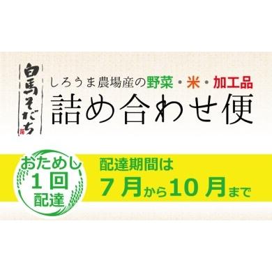 ふるさと納税 白馬そだち（旬の野菜・米・加工品）詰合せ便（1回）7月から10月期間限定お届け 長野県白馬村