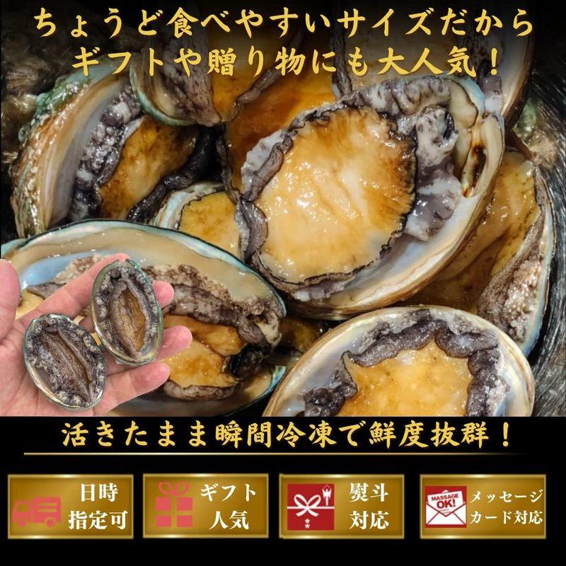 お刺身 蝦夷あわび アワビ 1kｇ（約30個入）あわび 海鮮 BBQ