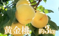 No.1705もも 黄金桃 約3kg 