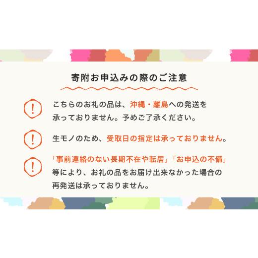 ふるさと納税 山形県 村山市 ラ・フランス 洋梨 ラフランス 秀 約3kg 2024年産 令和6年産 果物 ja-lasyx3