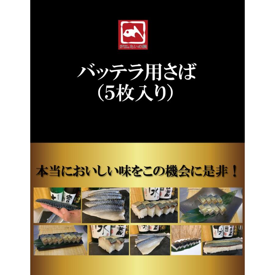 しめ鯖 さば 鯖 バッテラ用酢〆さば 5枚 業務用向け サバ寿司 お刺身 鯖寿司 酒のアテ おつまみ