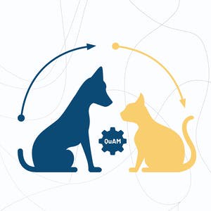 Machine Learning Algorithms: Supervised Learning Tip to Tail