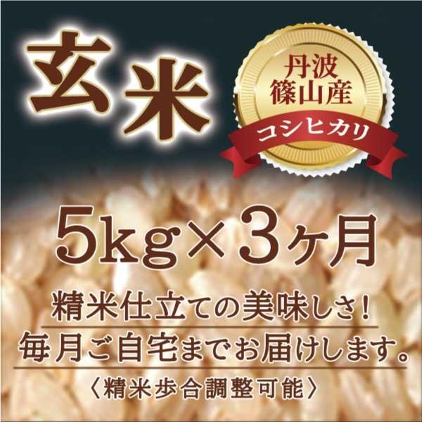 お米 定期便 コシヒカリ 丹波篠山産 送料無料 特A 玄米 令和5年 5kg 3ヶ月