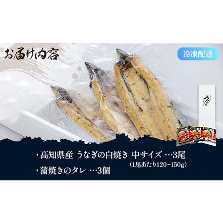 ふるさと納税 吉川水産 高知県産うなぎの白焼き 中サイズ(120〜150g)×3尾 タレ付き yw-0046 高知県香南市