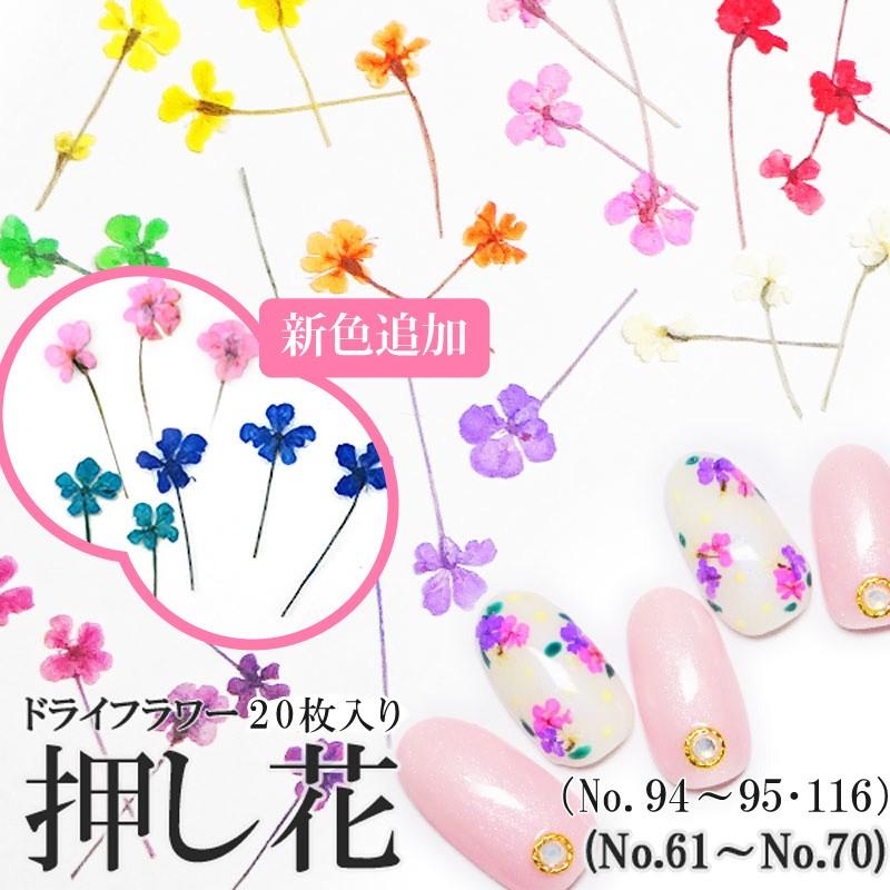 押し花 ドライフラワー （61-70・94-95・116） ケース入り 20枚入り 【ハンドメイド/レジン/クラフト/レースフラワー】 通販  LINEポイント最大0.5%GET LINEショッピング
