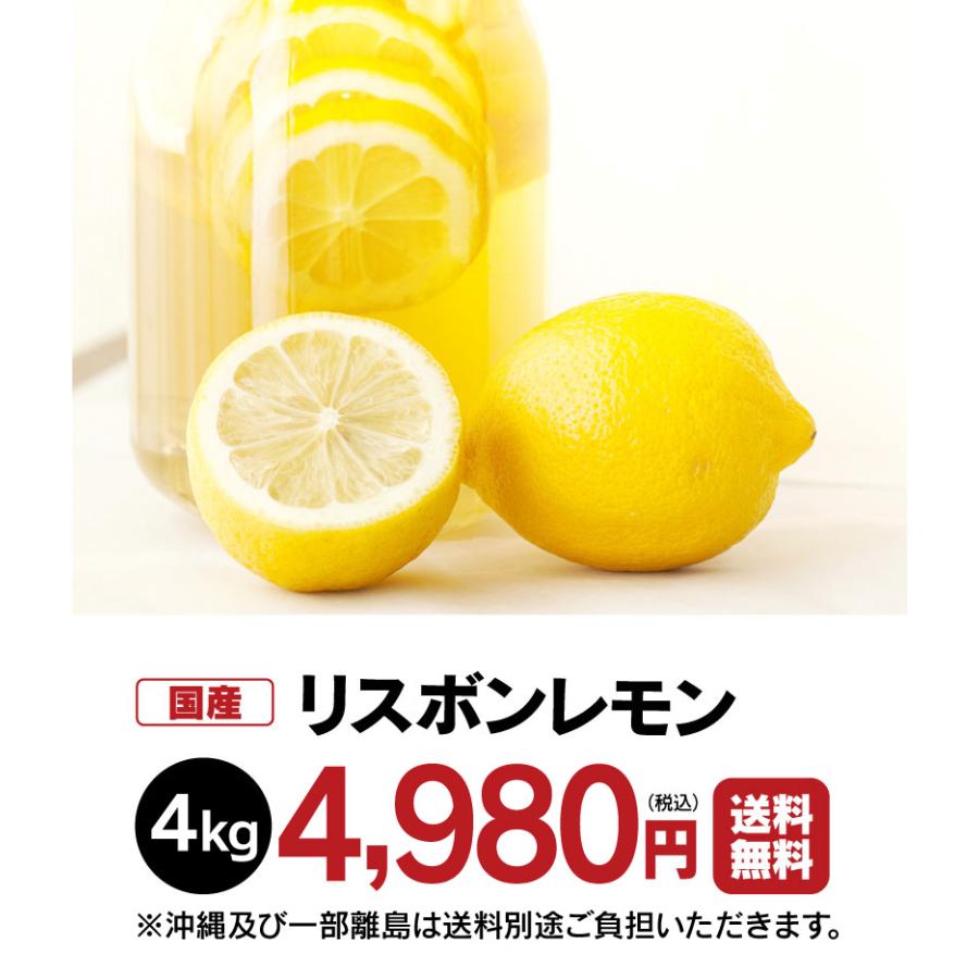 国産 レモン 熊本産 4kg 送料無料 リスボン ＜一週間から10日前後でお届け＞ れもん ノーワックス 防カビ剤不使用 産地直送 農家直送