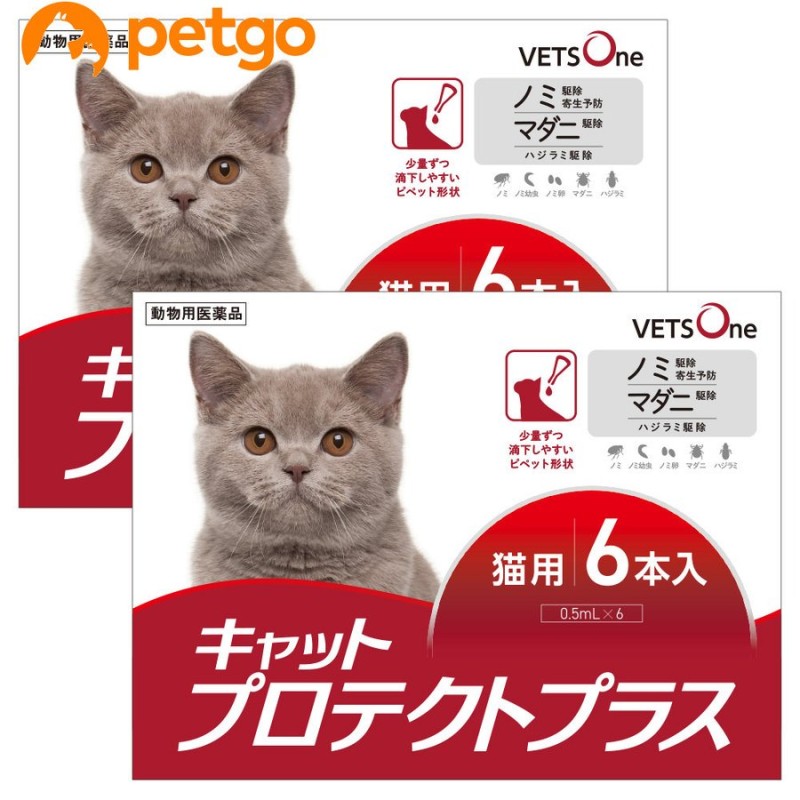 5%OFFクーポン】【2箱セット】ベッツワン キャットプロテクトプラス 猫用 6本 (動物用医薬品) 通販 LINEポイント最大0.5%GET |  LINEショッピング