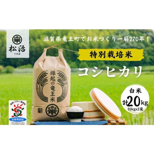 ふるさと納税 滋賀県 竜王町 コシヒカリ  白米 10kg x 2袋 縁起の竜王米 特別栽培米 令和5年産  新米 ブランド米 白米 精米 20kg  おこめ ご飯 270年続く お…