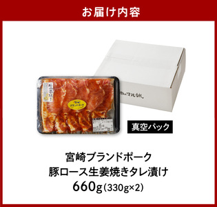 豚ロース生姜焼きタレ漬け（330g×2袋）計660g　N061-A068