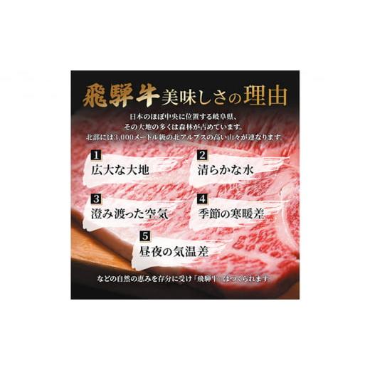 ふるさと納税 岐阜県 池田町 飛騨牛 焼肉 ロース＆カルビ セット 計600g A5 和牛 牛肉 ブランド牛 お肉 霜降り ロース カルビ 食べ比べ 焼肉用 バーベキュー B…