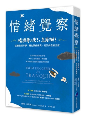 情緒覺察：情緒要上來了，怎麼辦？從觸發到平靜，轉化關係衝突，找回內在安全感[二手書_良好]
