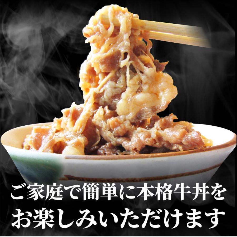 牛丼 牛丼の具 10個セット お肉屋さんのこだわり たっぷり牛肉の簡単牛丼 1食120g