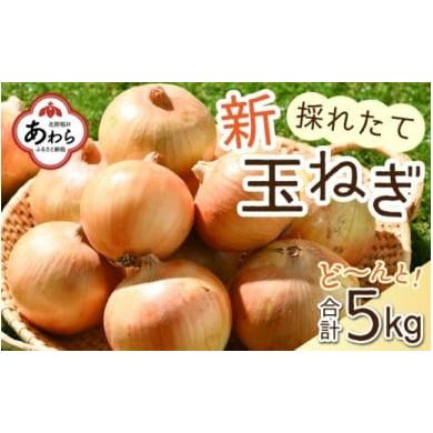 ふるさと納税 福井県 あわら市 2024年6月発送 採れたて 新玉ねぎ 5kg（サイズ S M L ミックス）田んぼで育てた甘くて柔らか自慢の玉ねぎ！／ 野菜…