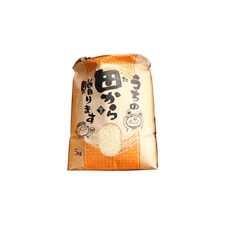 ふるさと納税 令和5年産 漢方栽培 十四代目のササニシキ 5kg（精米）全6回 米 お米 おこめ 山形県 新庄市 F3S-1701 山形県新庄市