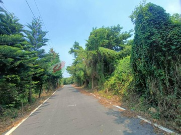 近台1線好視野美農地｜苗栗縣後龍鎮過港