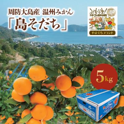 ふるさと納税 山口県 周防大島産　温州みかん「島そだち」5kg(山口県)