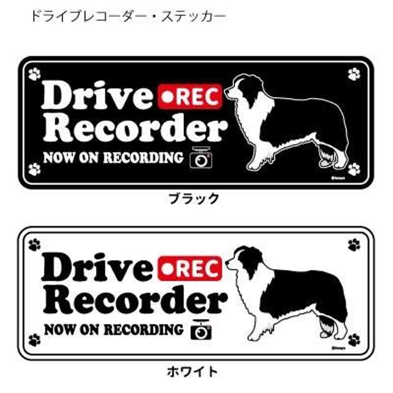 犬 ステッカー ボーダー 販売