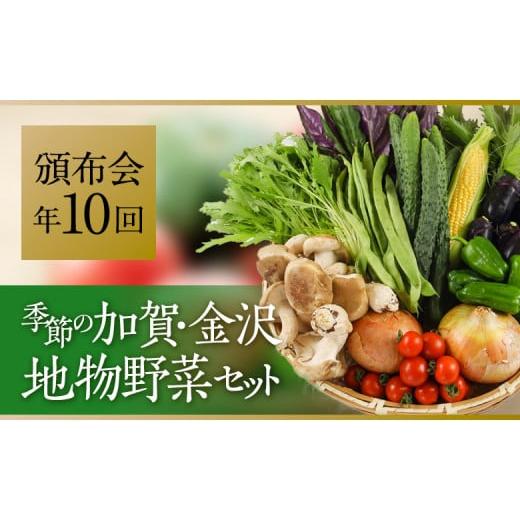 ふるさと納税 石川県 金沢市 JA金沢市 季節の加賀野菜・金沢地物野菜セット頒布会（毎月１回）