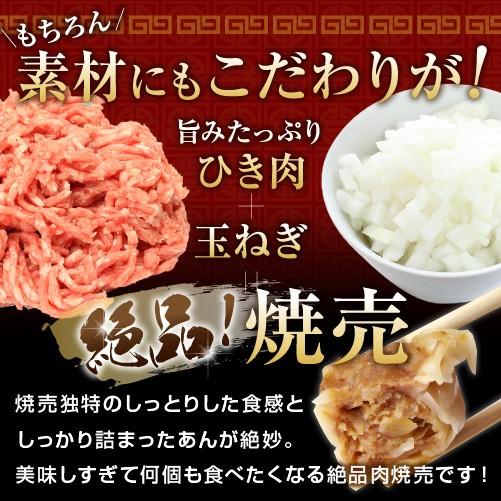 送料無料 焼売＆特製生餃子のセット 冷凍　業務用 大容量 たっぷり 時短 お手軽 簡単 餃子計画　大阪 浪花