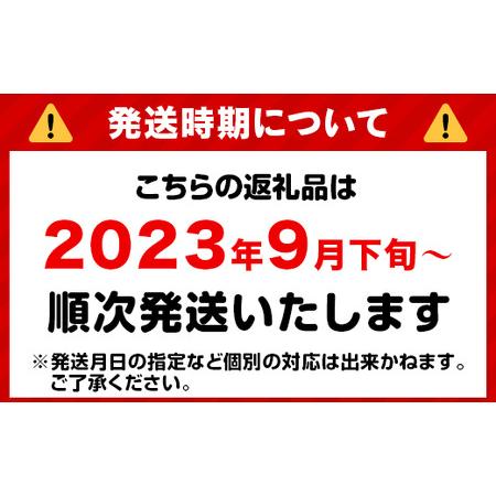 ふるさと納税 令和5年産岡山県産こしひかり10kg（5kg×2袋） 岡山県井原市