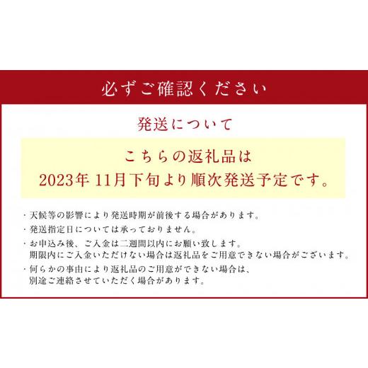 ふるさと納税 熊本県 西原村 紅はるか 約5kg 大・中・小サイズ 混合