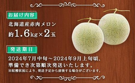  北海道産赤肉メロン約1.6kg×2玉 (2024年7月中旬から発送予定) 