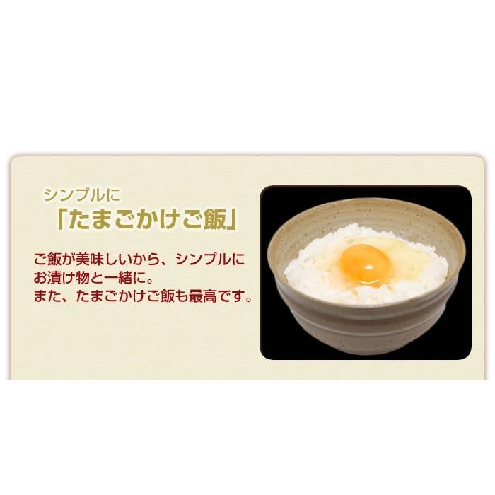 米 送料無料 森のくまさん 令和5年産 熊本県産 玄米30kg