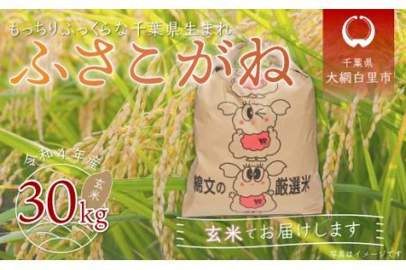 令和5年産 千葉県産「ふさこがね」玄米30kg（30kg×1袋）