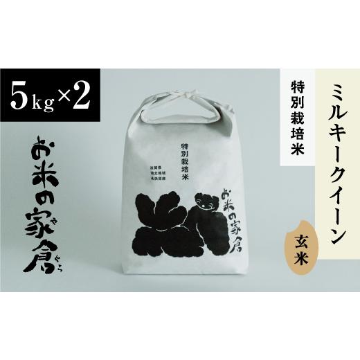 ふるさと納税 滋賀県 長浜市 お米が甘い！特別なもちもち食感　特別栽培”ミルキークイーン”玄米5K×2