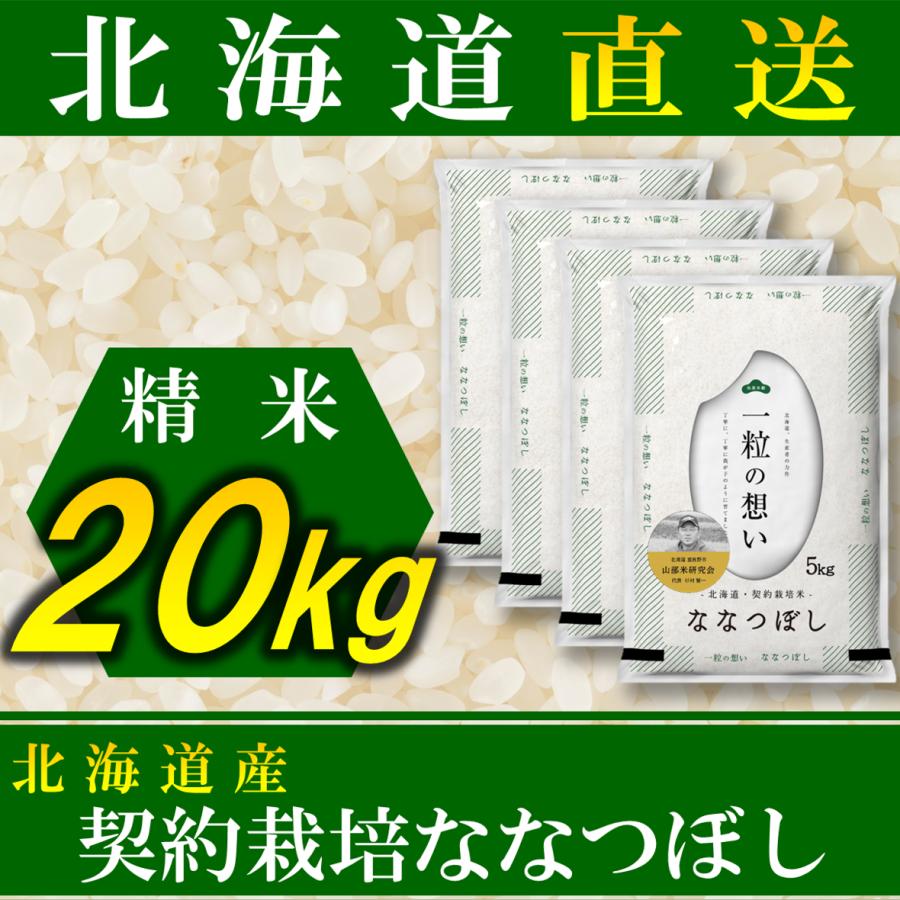 新米 お米 ななつぼし 北海道産 契約栽培 20kg 令和5年産