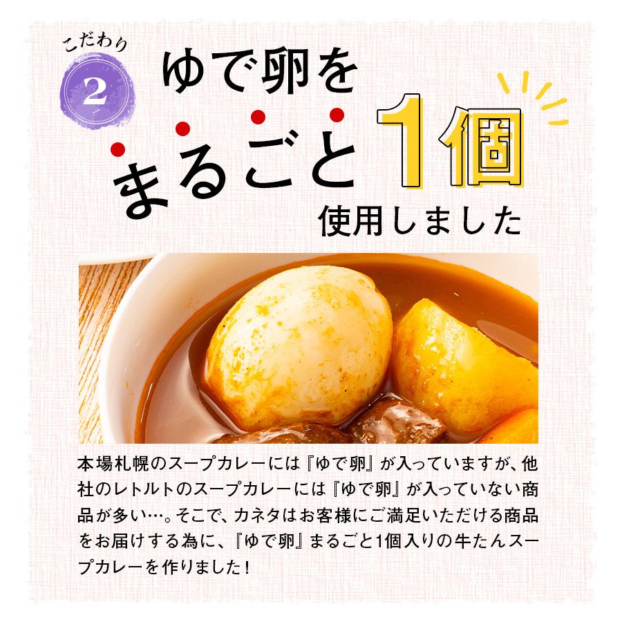 牛タン スープカレー 250g×12袋 12人前 レトルト 食品 湯煎 非常食 送料無料●牛たんスープカレー250g×12袋●k-07