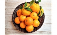 ①自然塾　季節の柑橘詰合せ
