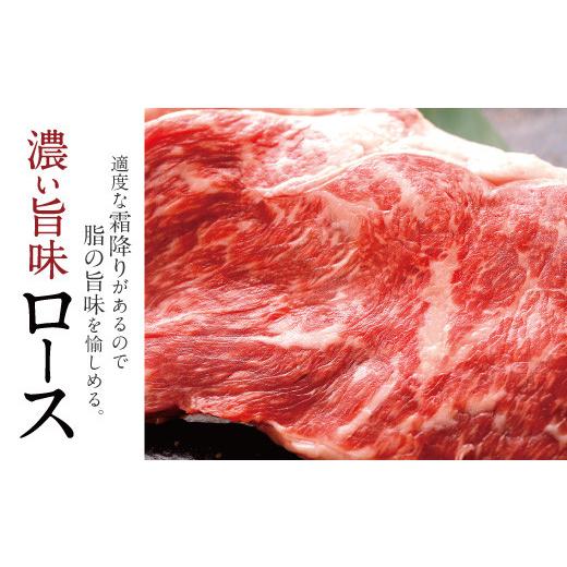 ふるさと納税 熊本県 宇城市 国産和牛 ステーキ用 あか牛 計700g（ヒレ肉300g ロース肉400g）牛肉