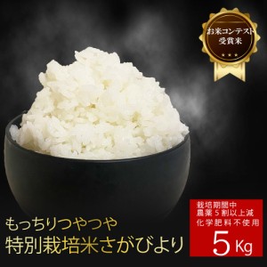  減農薬 特別栽培米 さがびより 5kg 有機肥料100％ 米 佐賀県