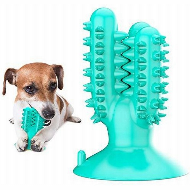 Caseeto 犬用噛むおもちゃ デンタルケア 歯磨き おもちゃ F ブルー サボテン 通販 Lineポイント最大0 5 Get Lineショッピング