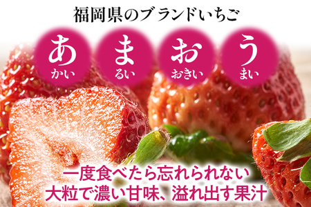 福岡産あまおう 4パック 合計約1000g~1080g 約1kg （1パックあたり約250g~約270g） いちご 苺 果物 フルーツ 九州産 福岡県産 冷蔵 送料無料