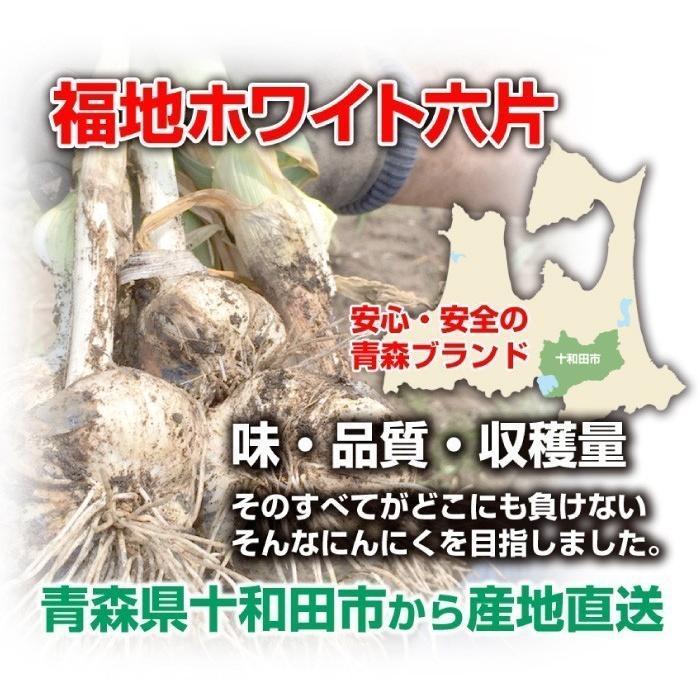 訳あり 乾燥にんにく 大玉 1kg 令和5年産 5kg以上ご購入で送料無料 国産 青森県産 福地ホワイト六片 Lサイズ 食品 香味野菜 にんにく 大蒜 健康のために