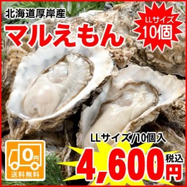 厚岸町からプリップリの牡蠣をお届け！北海道厚岸産殻付牡蠣（マルえもん）   LLサイズ   １０個入