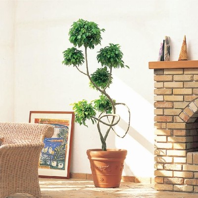 鉢カバー プランターカバー 人気 おしゃれ 大型 ポット 植木鉢