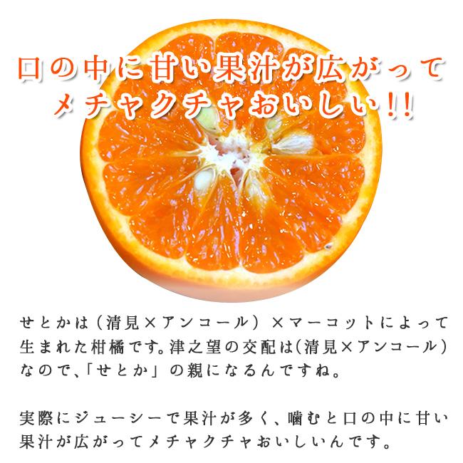 津之望 つののぞみ 5kg 和歌山産 減農薬 国産 送料無料 農家直送 産地直送