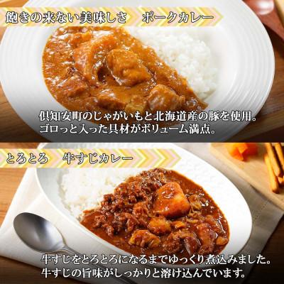 ふるさと納税 倶知安町 倶知安野菜のカレー食べ比べ4種セット 中辛 計4個