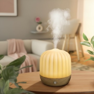 [快速出貨] 送朋友不出錯【les nez 香鼻子】陶瓷橡木水氧機 質感居家香氛機 生日禮物 居家香氛 喬遷禮 居家香氛 香氛蠟燭 送朋友