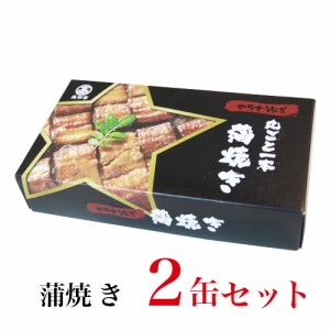 四万十うなぎ 国産 四万十うなぎ  蒲焼き缶詰 ２個セット正規