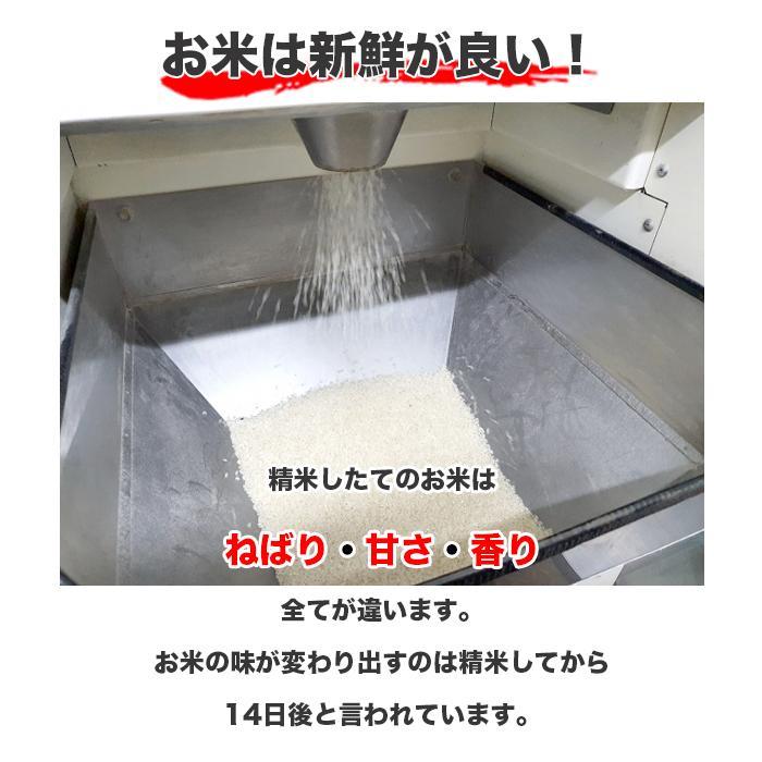 米 お米 米 白米 精米 日本のお米 ブレンド米 国内産 10kg ブレンド 10キロ 送料無料 即日発送 当日発送
