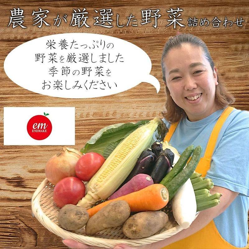 野菜セット 農家直送 産地直送 おまかせ 野菜 詰め合わせ 和歌山県産他10種 チルド便