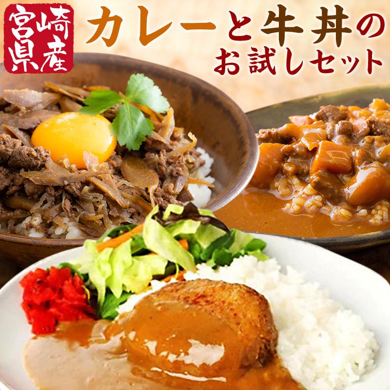 宮崎県産 牛丼とカレーのお試し３種類セット 国産 レトルト おかず 常温保存