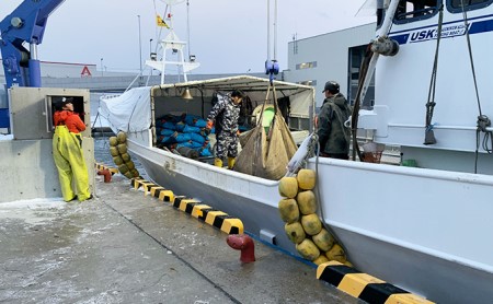 北海道 厚岸産 極太 ボイルたこ足 2本（約2.5kg）