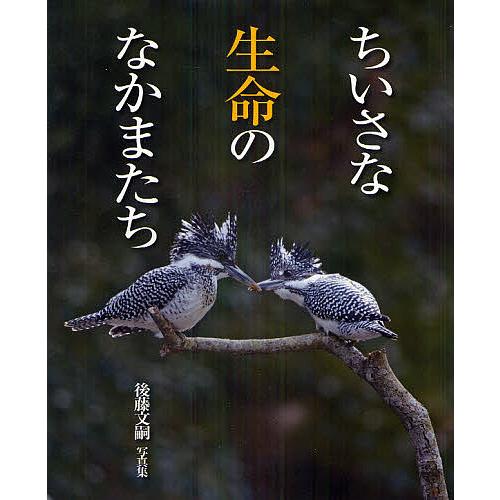 ちいさな生命のなかまたち 後藤文嗣写真集 後藤文嗣